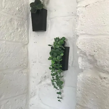 Casa Buena Vida Appartement *